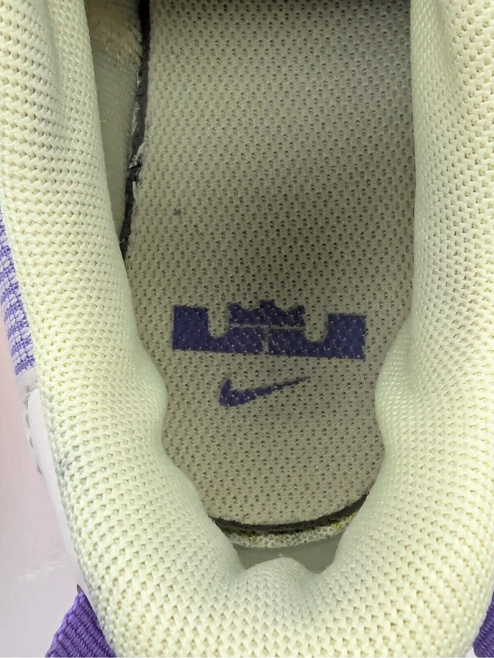 Nike LeBron Witness 7 Action Grape Purple Kids Size 6Y / Women's 7.5 DQ8650-101